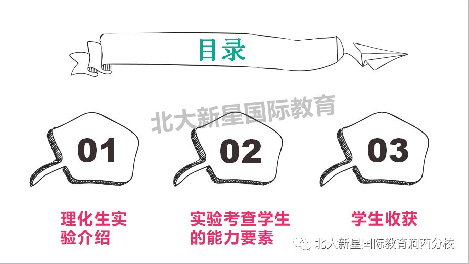 中考最新动态，改革趋势及应对策略解析