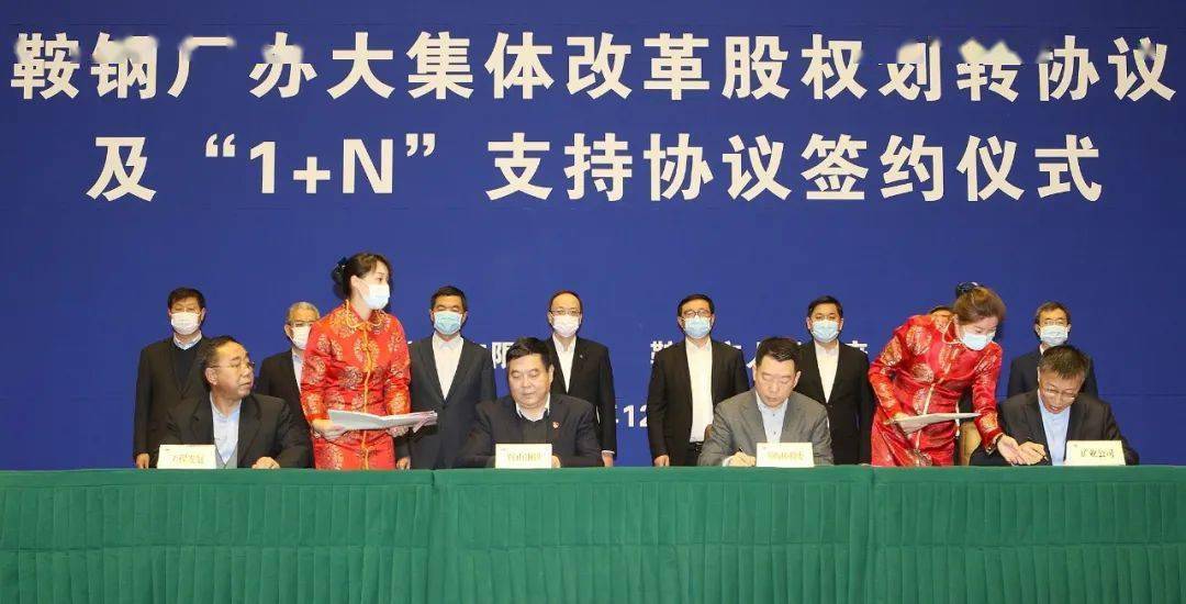 大集体改制最新动态，深度探讨与前景展望