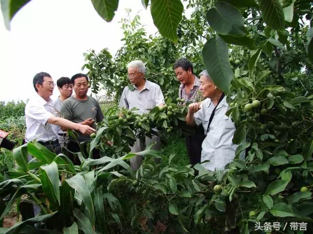 黄龙县小学人事任命揭晓，引领未来教育新篇章的领导者诞生！