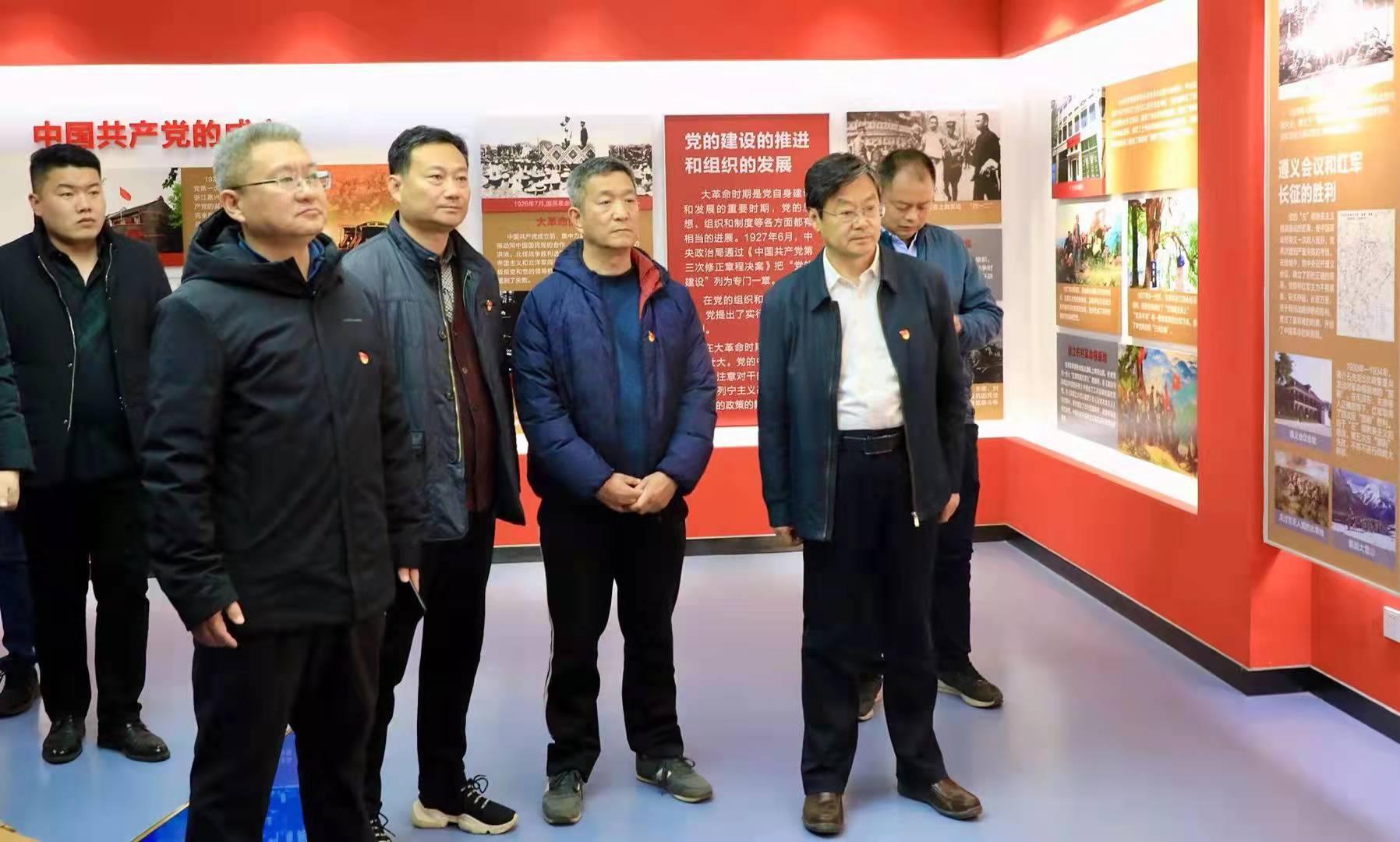 鱼台最新新闻动态概览
